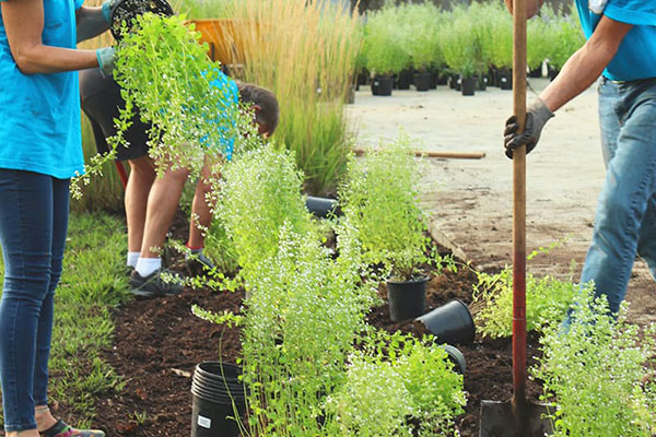 ways to volunteer in your community min