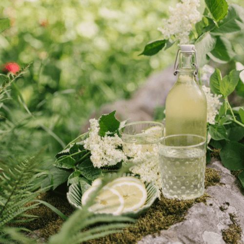 summer cordials herbal infusions hart square classes
