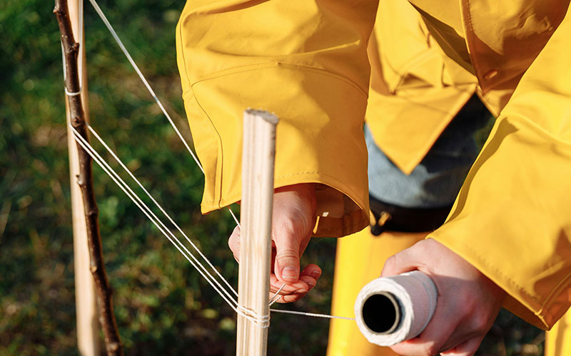 Volunteer tying string to support growing plants, representing hands-on community service and nonprofit volunteer support.